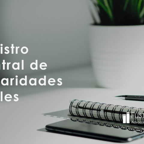 Registro Central de Titularidades Reales